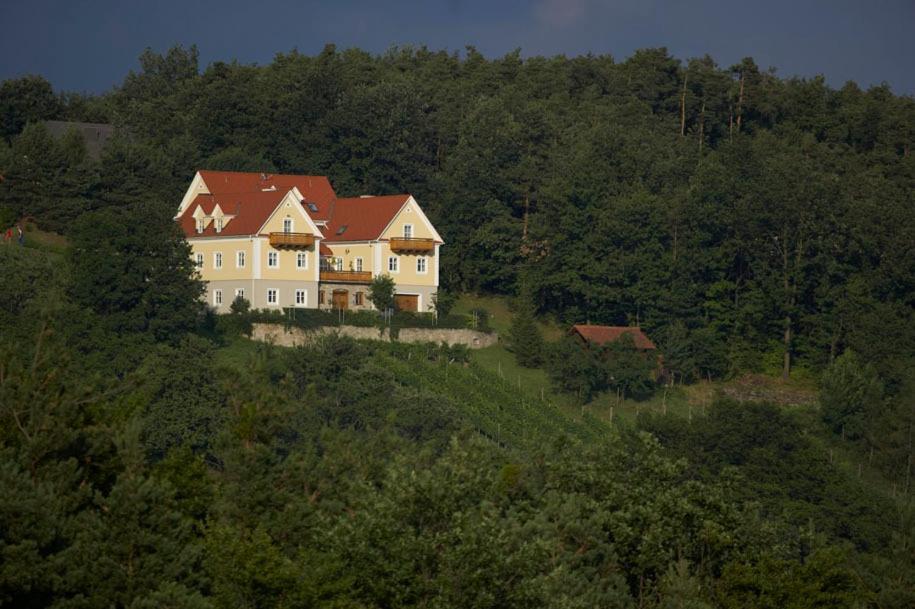 شقة Winzerhaus Friedrich Kaindorf  المظهر الخارجي الصورة